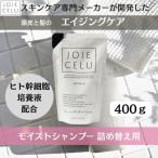 モイストシャンプー 2個
