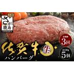 佐賀牛ハンバーグ 150g×5個