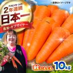 秋にんじん 10kg