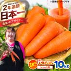 秋にんじん10kg 訳あり にんじん BHCW007