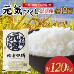 九州 福岡からお届け ブランド米 元気つくし