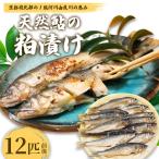 天然鮎の粕漬け 12匹