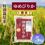 特別栽培米 ゆめぴりか 5kg