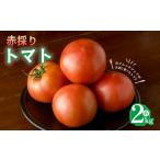 トマト 2kg