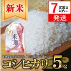 新米 コシヒカリ 5kg