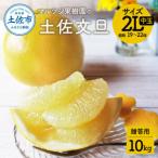 ふるさと納税 【先行予約】マルツジ果樹園の土佐文旦 贈答用(中玉) 約10kg 10キロ 2Lサイズ 19〜22個入り ぶんたん ブンタン フルーツ 柑橘 みか.. 高知県土佐市