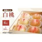 もも 2026年 白桃 6玉