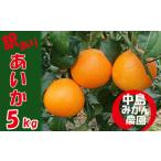 ふるさと納税 【2025年12月から順次発送】 愛果28号 訳あり 5kg | 紅まどんな と同品種 みかん 愛果 蜜柑 松山市産みかん 柑橘 ミカン 蜜柑 み.. 愛媛県松山市