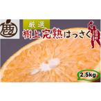 樹上 完熟 はっさく 2.5kg+250g