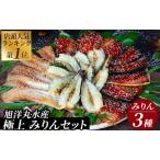 ふるさと納税 店頭人気NO.1! 旭洋丸水産手作り 極上みりんセット(1) 【 干物 干物 干物 干物 干物 干物 】 静岡県南伊豆町