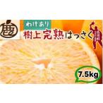 樹上 完熟 はっさく 7.5kg+250g