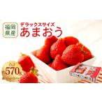 うるう農園 あまおう DX等級 2パック