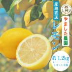 レモン 1.2kg