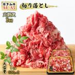 博多和牛 牛肉 切り落とし A4~A5 肩ロース