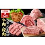 ふるさと納税 <定期便・全5回(連続)>毎月違うお肉をお届け!お楽しみ定期便 (合計2.66kg以上) 牛肉 豚肉 定期便 【ナンチク】 T47 鹿児島県曽於市
