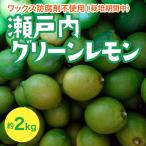 瀬戸内 グリーンレモン 約2kg