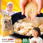 こしひかり 白米 10kg
