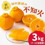 訳あり 不知火 約 3kg