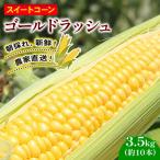 訳あり スイートコーン ゴールドラッシュ 10本