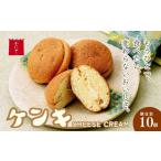 カステラ ケンキ 10個