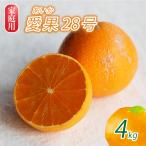 愛果28号 4kg