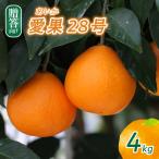 愛果28号 4kg