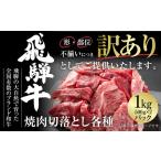 ショッピングふるさと納税 訳あり 不揃い ふるさと納税 訳あり 飛騨牛 焼肉 切り落とし 1kg 冷凍真空パック 飛騨高山ミート | 肉 お肉 切落し 不揃い 焼肉 焼き肉 やきにく 黒毛和牛 和牛.. 岐阜県白川村
