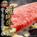 全3回 飛騨牛 サーロインステーキ 肉 飛騨高山ミート