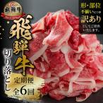 全6回 飛騨牛 切り落とし 500g
