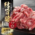 全12回 結旨豚 ウデ又はモモ 切り落とし 500g×2パック