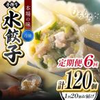 6回 定期便 手作り 水餃子 冷凍 20個