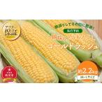 ふるさと納税 【26年先行予約】朝採り　とうもろこし　ゴールドラッシュ　2.2kg（M〜Lサイズ× 6本）（2026年8月中旬から順次発送）| とうも.. 北海道旭川市