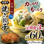 3回 定期便 手作り 水餃子 冷凍 20個