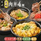 宮崎肉丼4種 丼物 冷凍 牛肉 鶏肉 豚肉 かつ丼