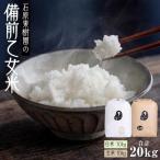 令和8年産 石原果樹園の備前乙女 米 20kg