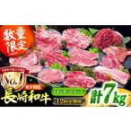 ふるさと納税 【12回定期便】長崎和牛 定期便 スタンダードコース 計7kg お楽しみ 牛肉 バラエティ定期便 国産 / ヒレ トモサンカク もも 焼き.. 長崎県南島原市