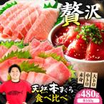 たね熟天然本まぐろ赤身&中トロ&大トロセット 各160g