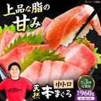 たね熟天然本まぐろ赤身 960g