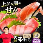 たね熟天然本まぐろ赤身 960g