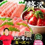 たね熟天然本まぐろ赤身&中トロ&大トロセット 各160g