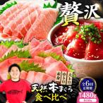 たね熟天然本まぐろ赤身&中トロ&大トロセット 各160g