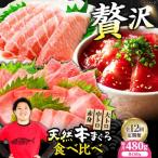たね熟天然本まぐろ赤身&中トロ&大トロセット 各160g