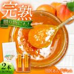 田尻完熟あんずジャム 2本