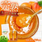 田尻完熟あんずジャム 2本