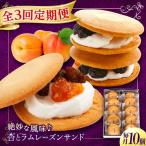 お菓子 杏とラムレーズンサンド 10個入り