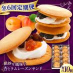 お菓子 杏とラムレーズンサンド 10個入り