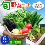 旬野菜セット 6人用 野菜詰合せ