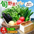 おまかせ野菜セット 4人用 野菜セット