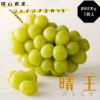 ふるさと納税 土-24　シャインマスカット 晴王 秀品 約600g 1房 岡山県産 ぶどう御中元 ギフト 御礼 プレゼント 御礼 御祝 御供 果物 くだもの .. 岡山県和気町