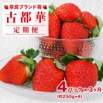 いちご 古都華 250g×4パック